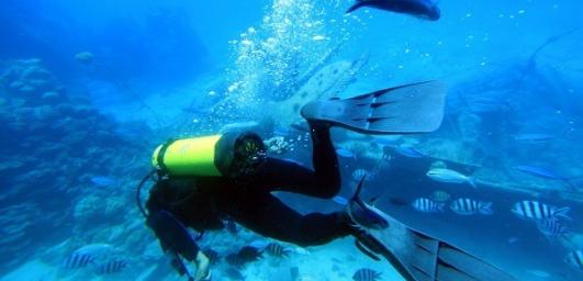 Neues Dino Diving Center Hurghada Rotes Meer Ägypten